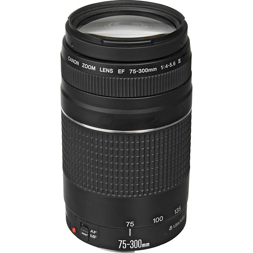 Canon EF 75-300mm f4-5.6 III Lens